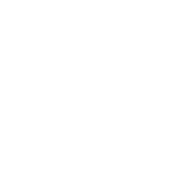 Logo wellaris weiß